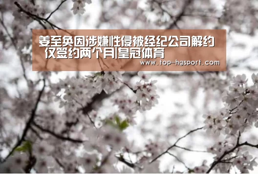 皇冠体育下载