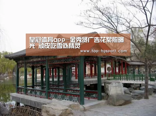 皇冠体育app