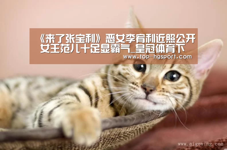 皇冠体育